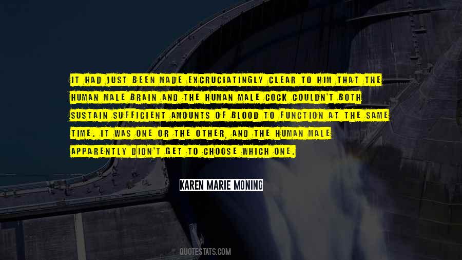 The Male Brain Quotes #1742850