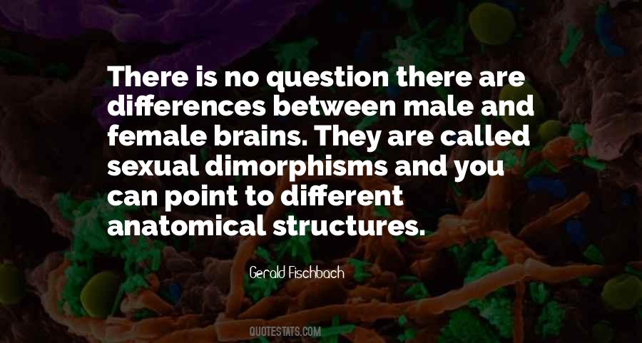 The Male Brain Quotes #1775359