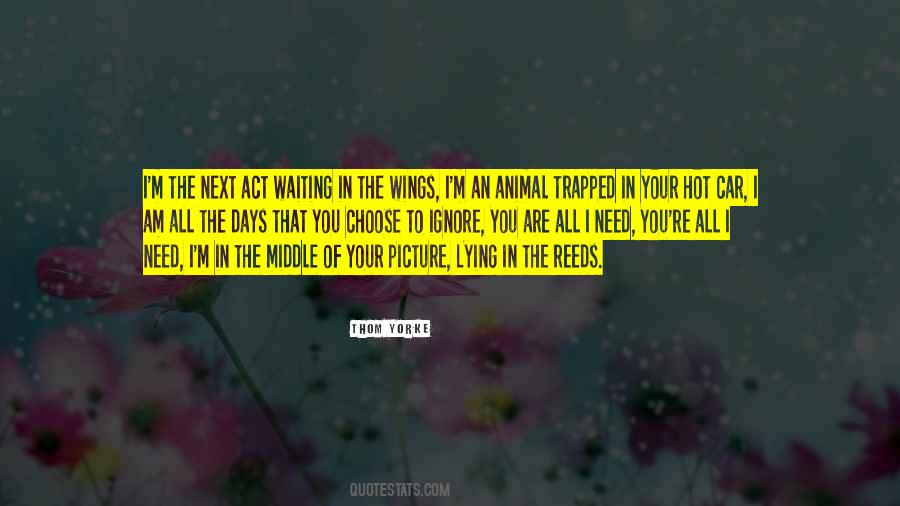 You Are All That I Need Quotes #723198