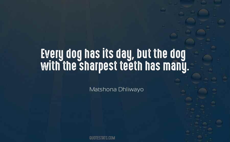 Every Dog Has Its Day Quotes #1047849