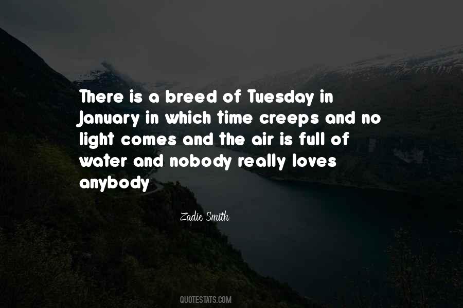 Time And Light Quotes #29710