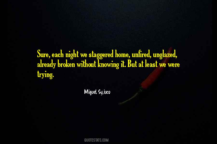 Night At Home Quotes #456722