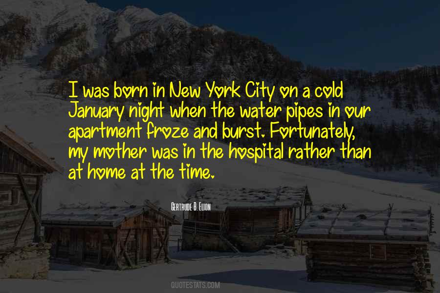 Night At Home Quotes #761214