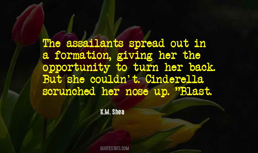A Cinderella Quotes #754539