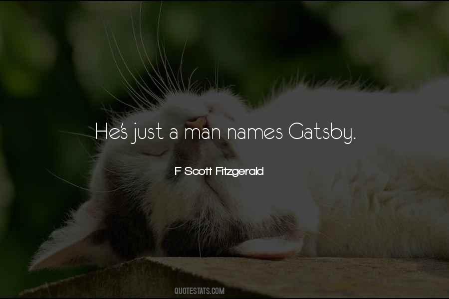 Gatsby's Quotes #537629