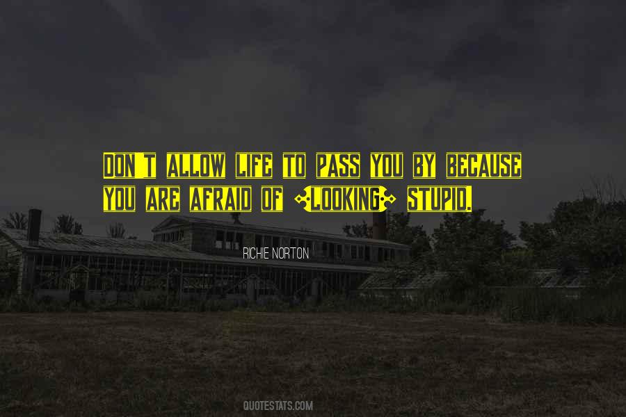 Life Pass You By Quotes #1373478