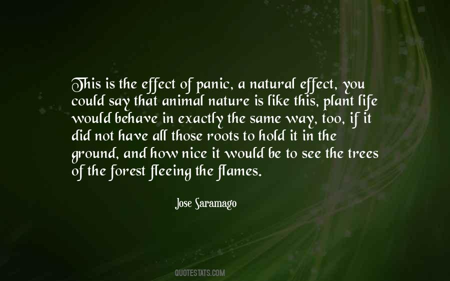 Way Too Nice Quotes #1345552