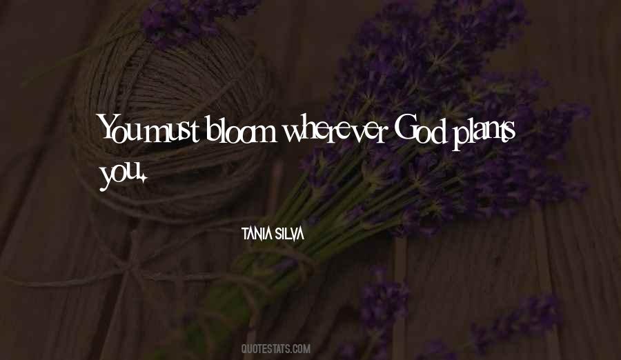 Still Blooming Quotes #281722