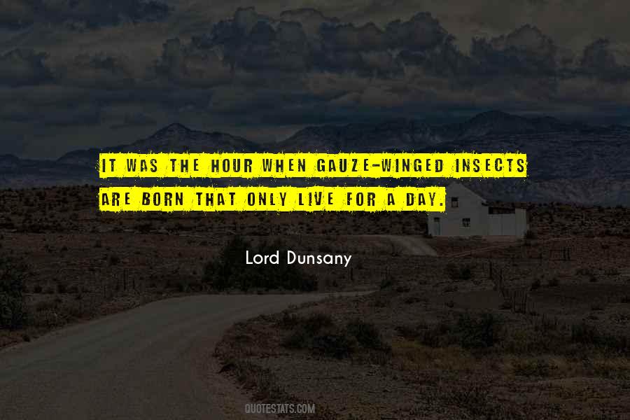 Gauze Quotes #759066