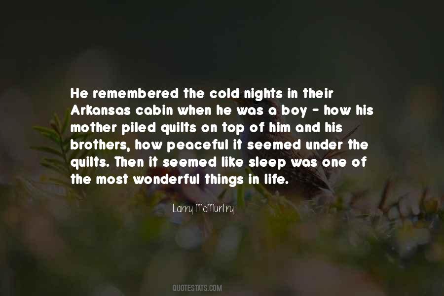 On Nights Quotes #1428860