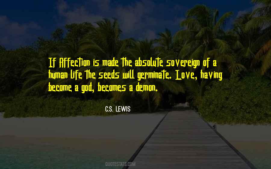 My Affection For You Quotes #177462