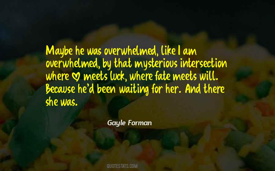Gayle Forman Love Quotes #1302051