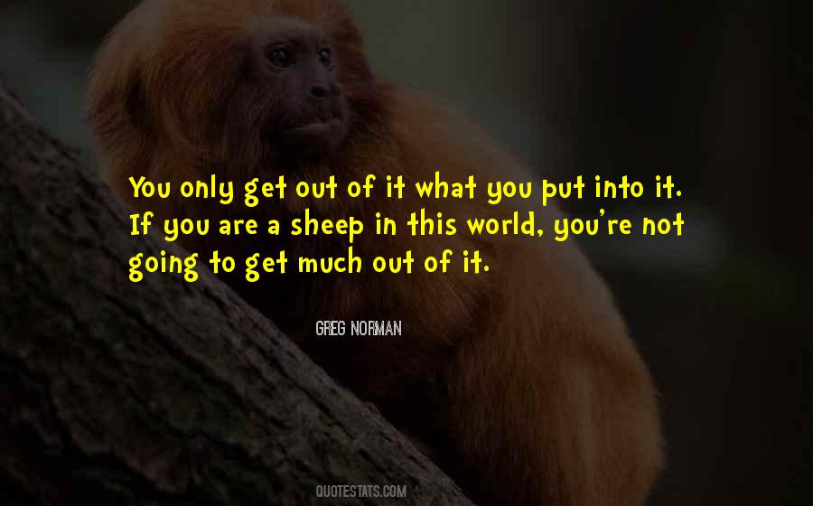 You Get Out Of It What You Put Into It Quotes #186650