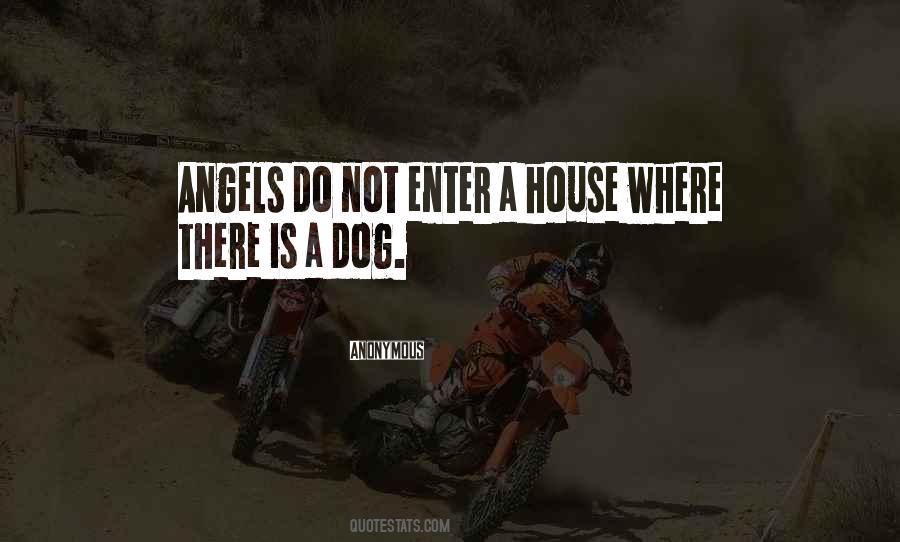 Dogs Are Angels Quotes #1285553