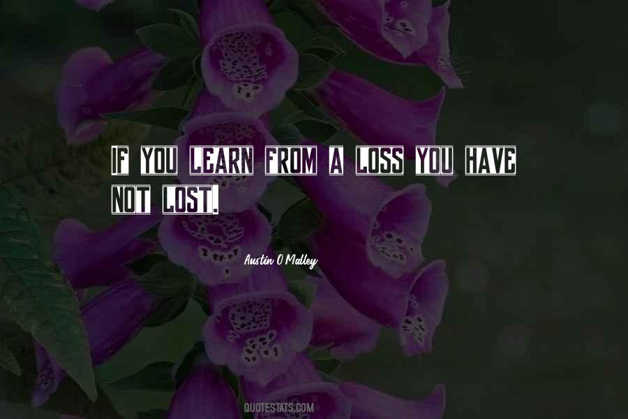 You Have Not Lost Quotes #1584222