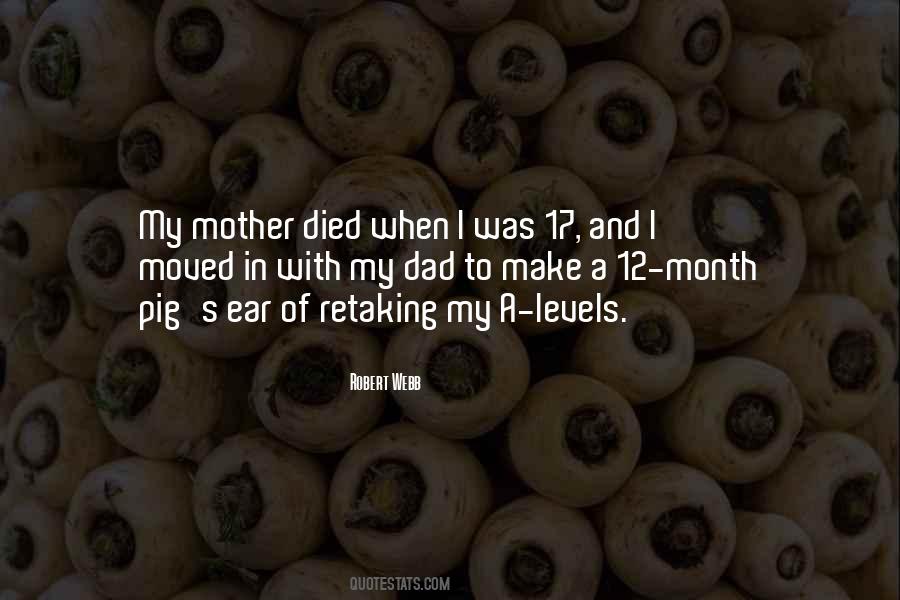 When My Mother Died Quotes #945209