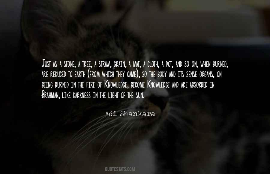 From Darkness To Light Quotes #840521