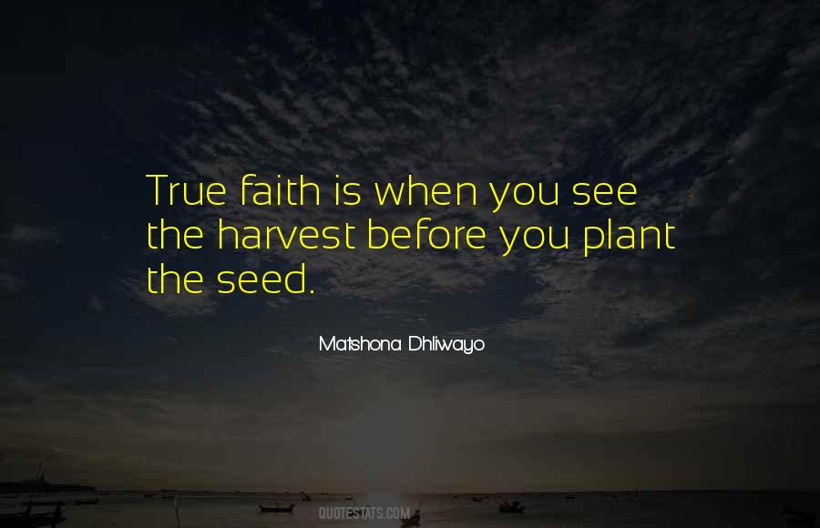 Faith Seed Quotes #1071212