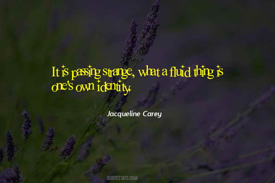 What Is Identity Quotes #319547
