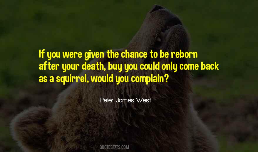 Quotes About A Squirrel #1783037