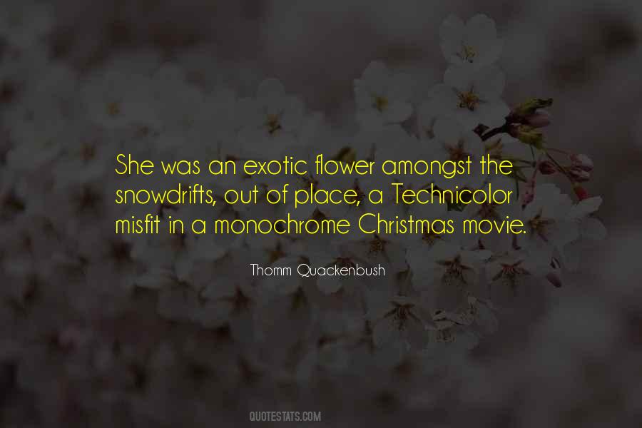 Christmas Flower Quotes #1076079 Christmas Flower Quotes #1076079