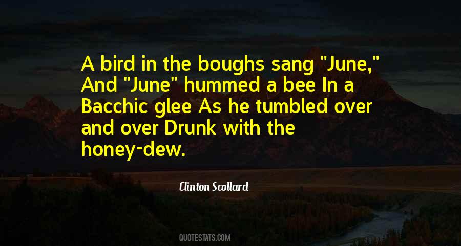 Over Drunk Quotes #277736