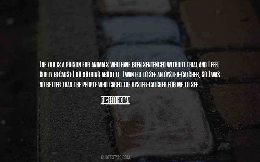 Oyster Catcher Quotes #1350830