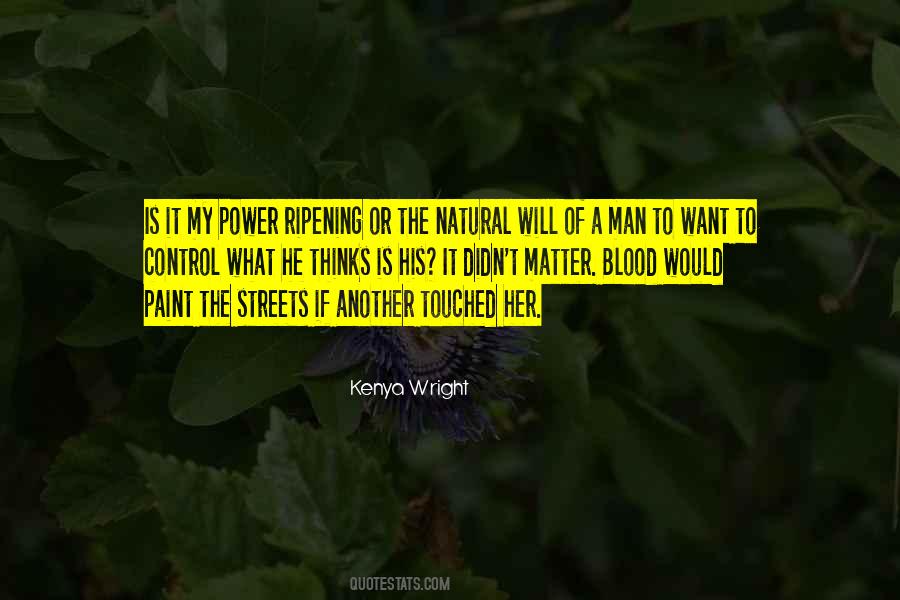 When There Is Blood In The Streets Quotes #1620039