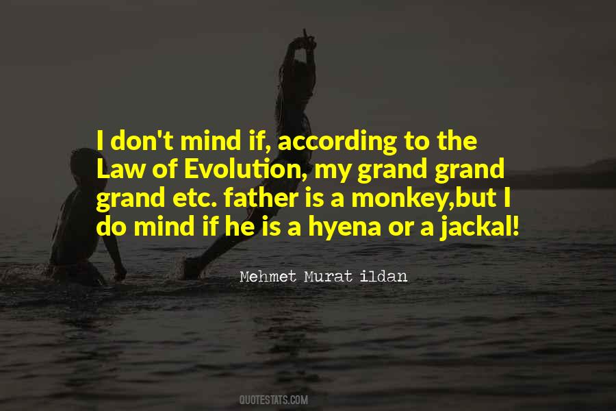 Mind Is A Monkey Quotes #1124808
