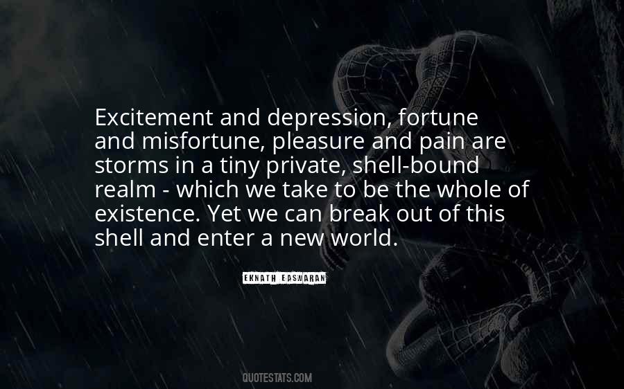 Pleasure In Others Misfortune Quotes #4380