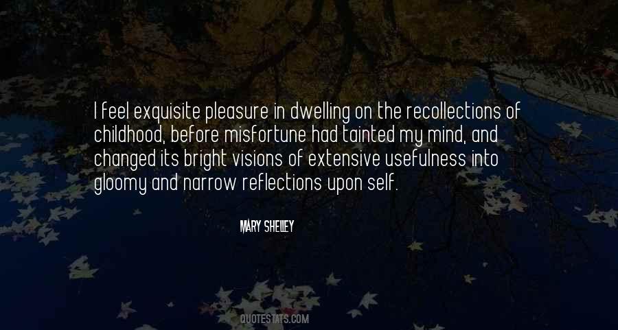 Pleasure In Others Misfortune Quotes #850388