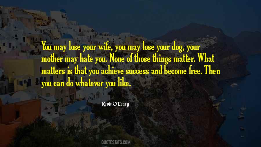What You Can Achieve Quotes #1263450