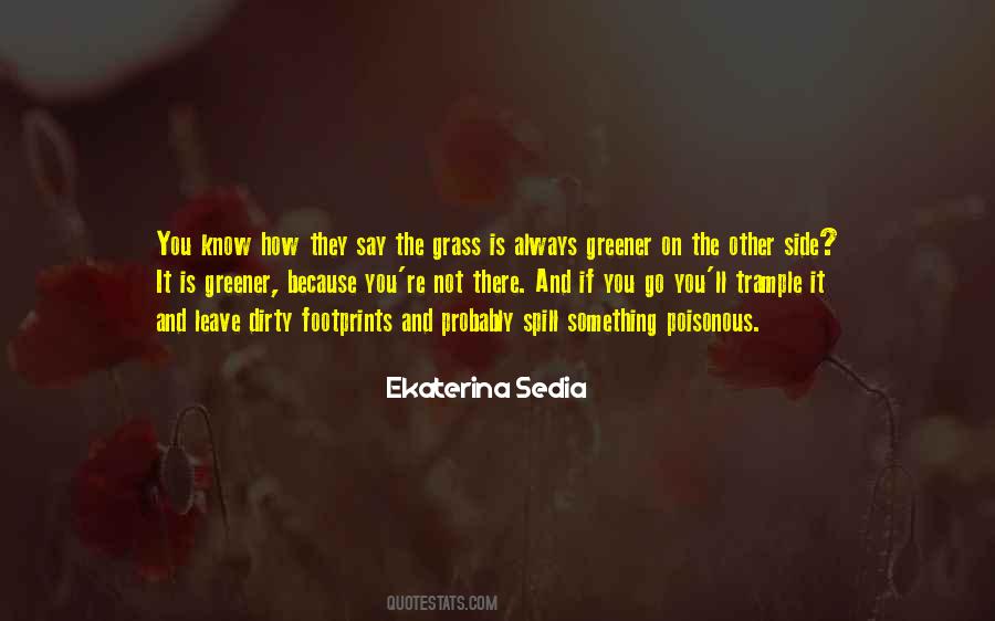 Grass On The Other Side Quotes #945484
