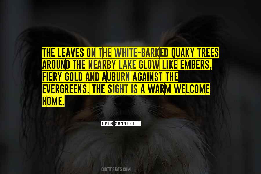Home Welcome Quotes #1248118