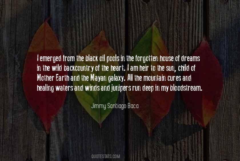 Black Sun Quotes #1653614