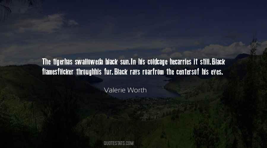 Black Sun Quotes #1720358