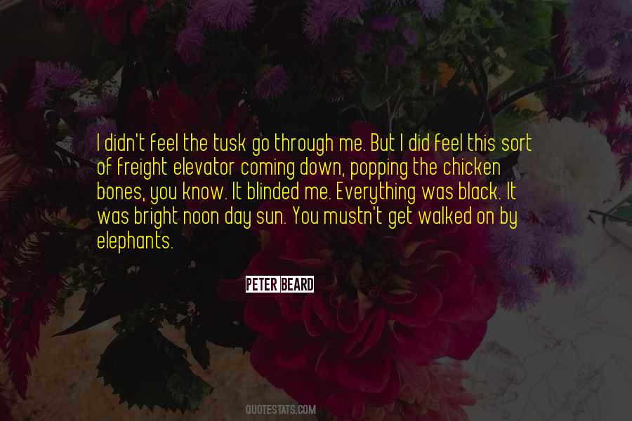 Black Sun Quotes #343623