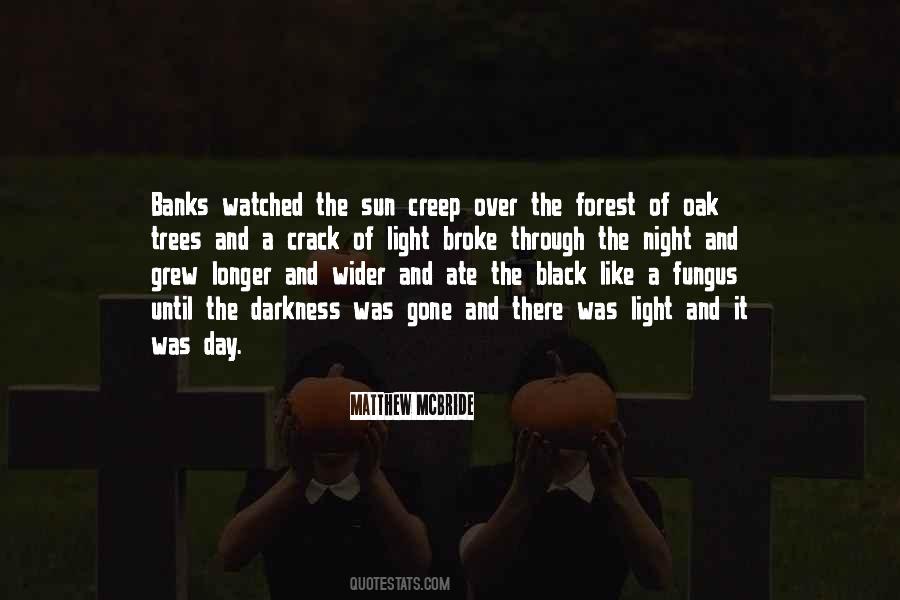 Black Sun Quotes #771592