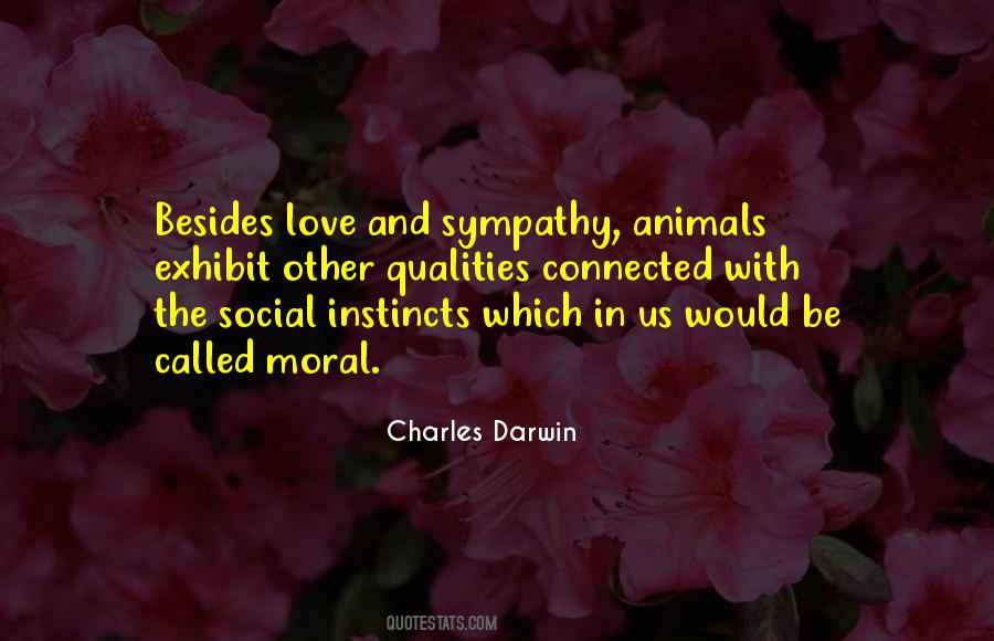Love Sympathy Quotes #319827