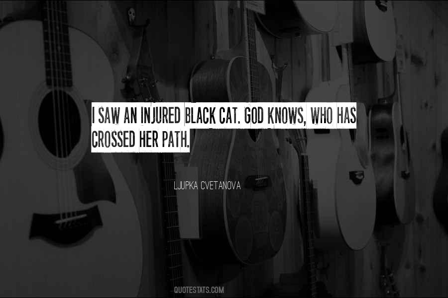 Bad Luck Black Cat Quotes #1745521