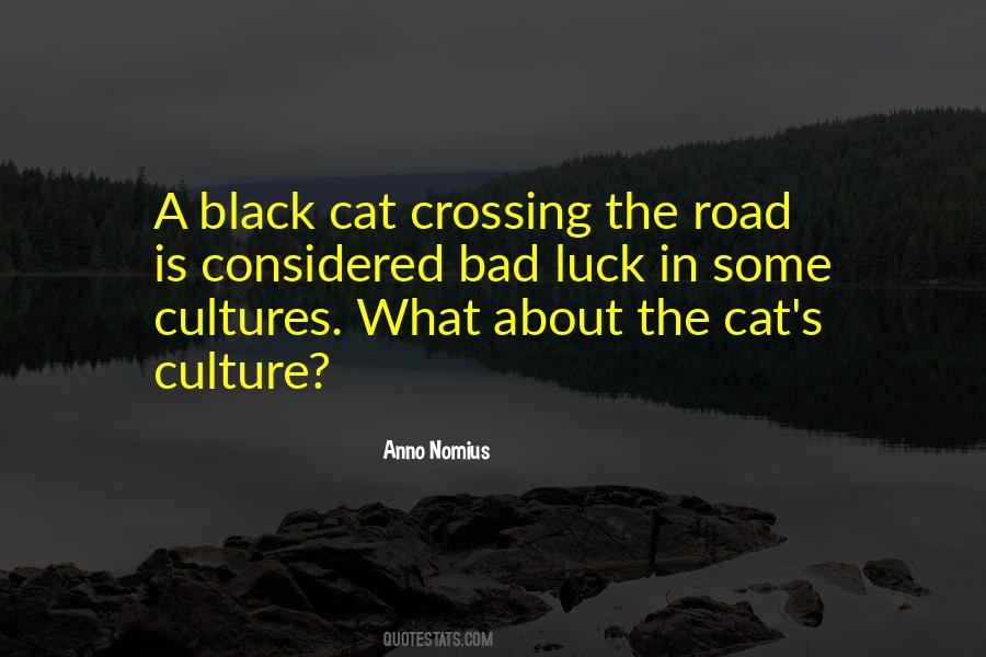 Bad Luck Black Cat Quotes #424684