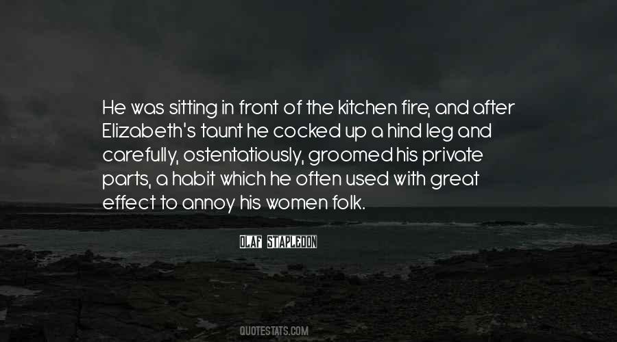After Fire Quotes #591022