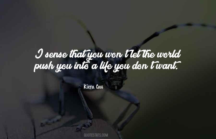 Push Someone Too Far Quotes #35527