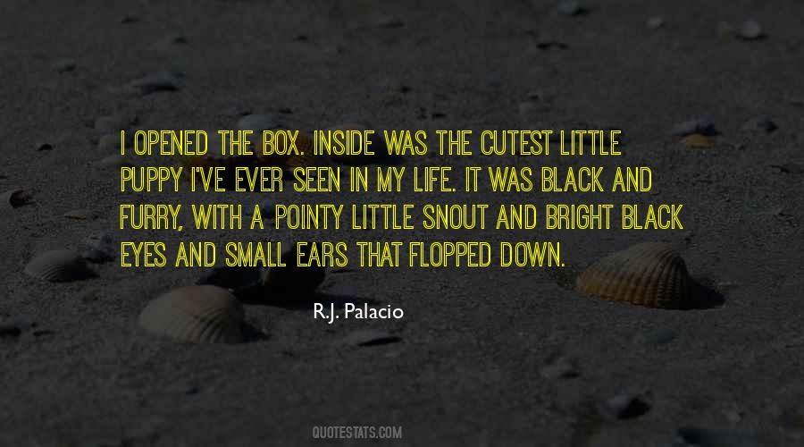 Inside My Eyes Quotes #726222