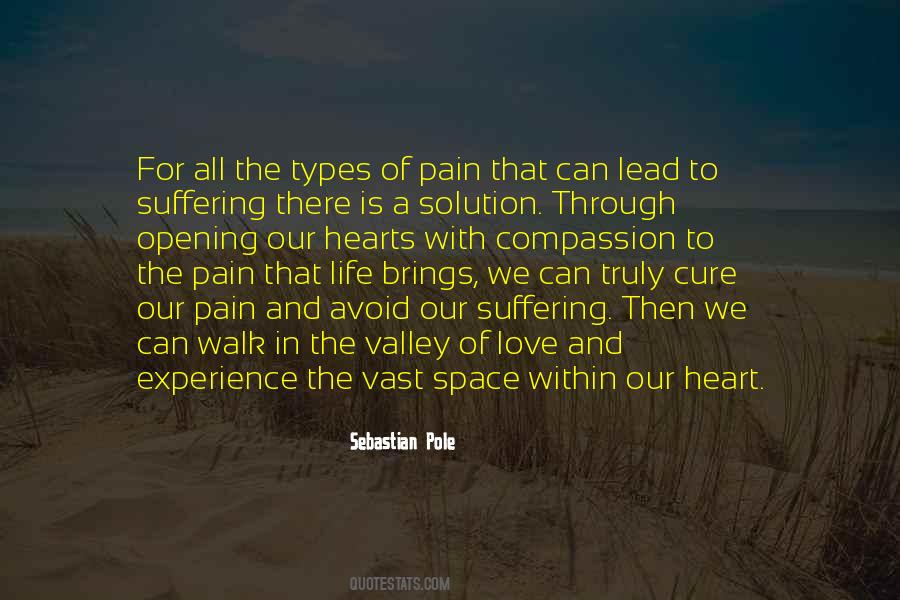 Love Is The Solution Quotes #1667538