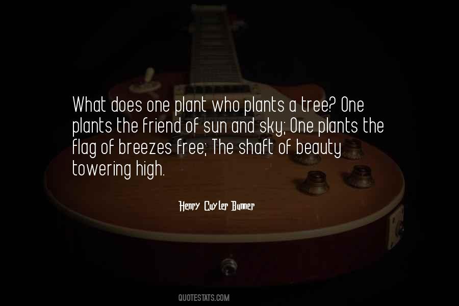 Plant Tree Quotes #965930
