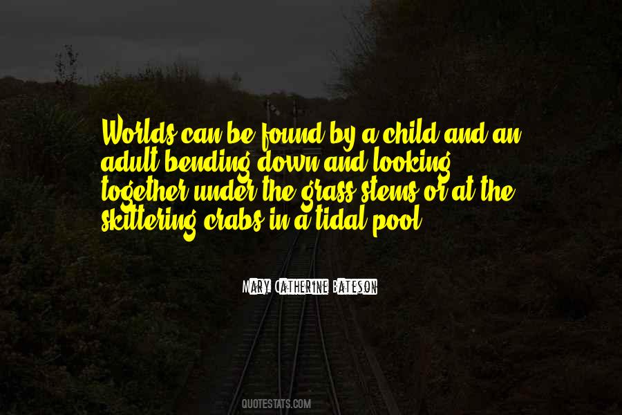 Curiosity Child Quotes #23086