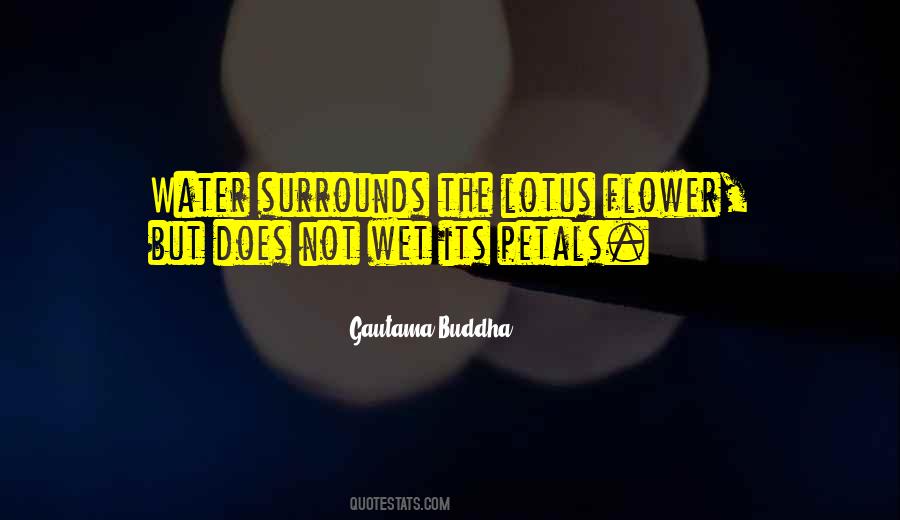 Wet Flower Quotes #519095