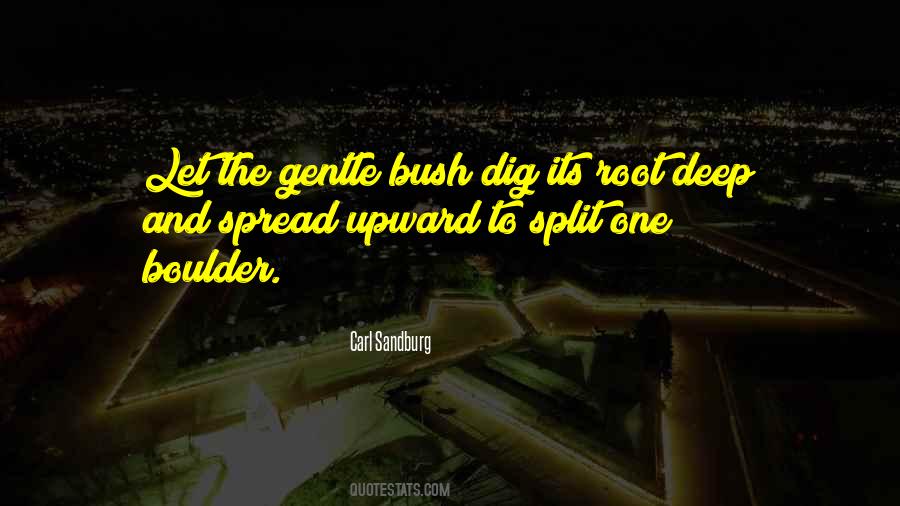 Gentle Quotes #1689169