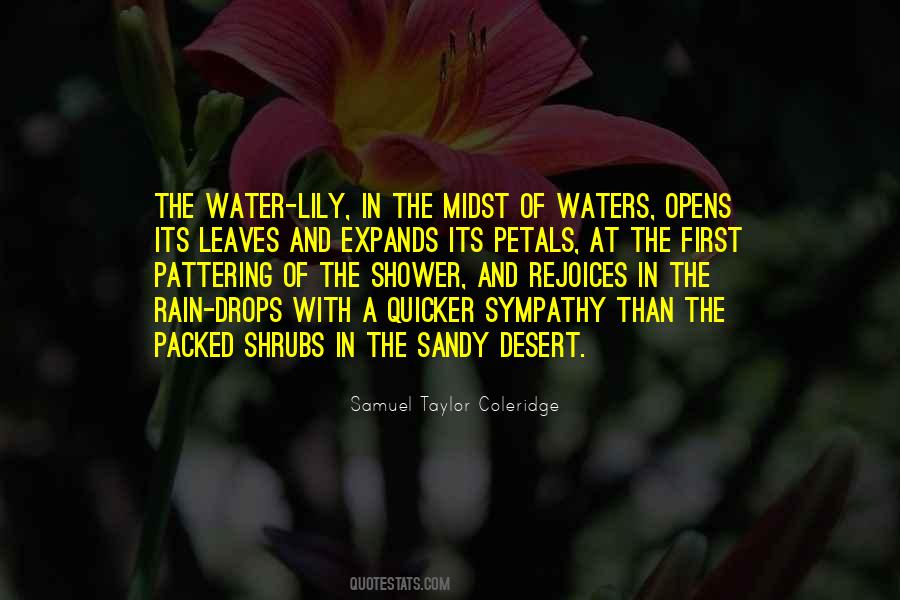First Rain Quotes #1012078